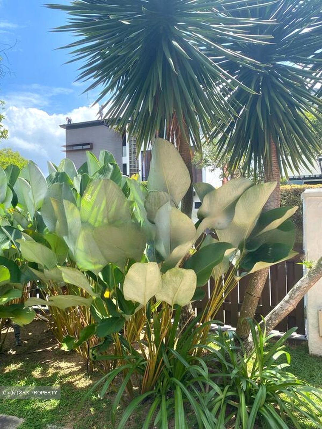 Sunset Way (D21), Detached #461783171